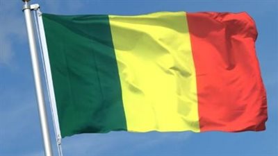  مالي توقف بث قناة LCI التلفزيونية الفرنسية بسبب دعمها للإرهاب