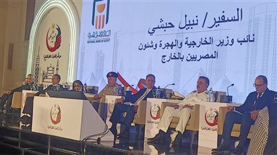 السفير نبيل حبشي: نعلم جيدا مشاكل المصريين بالخارج