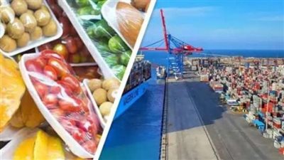 25 ٪ زيادة في صادرات الصناعات الغذائية المصرية بالنصف الأول لـ 2024