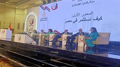 انطلاق جلسة الاستثمار بمؤتمر المصريين في الخارج لوزارة الخارجية والهجرة.. صور