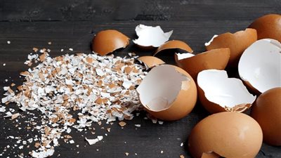 قشر البيض.. فوائد صحية وطرق فعالة للاستفادة منه
