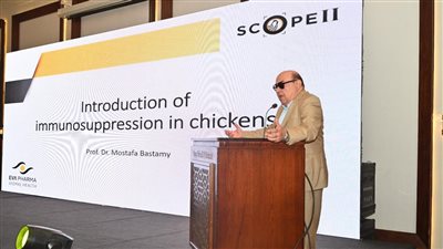 منتجات مصرية بيطرية تخفض تكاليف علاج الدواجن والماشية وتعزيز صحتها بنسبة 30%