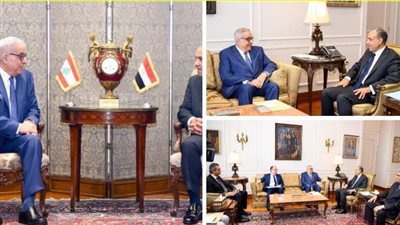 وزير الخارجية يبحث مع نظيره اللبناني تداعيات الوضع في غزة وتأثيره على لبنان