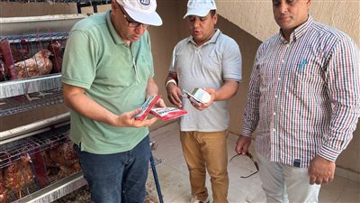 بحوث الصحراء يطلق قافلة بيطرية لدعم التنمية الزراعية بسيناء