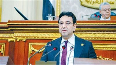 النائب أيمن محسب: أنظار العالم تنصرف عن المعاناة الإنسانية في قطاع غزة
