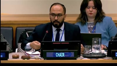 رامي يوسف: صياغة الاتفاقية الإطارية للضرائب الدولية التابعة للأمم المتحدة