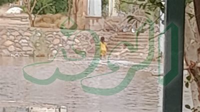 «حمامات سباحة» .. أطفال كركر بأسوان تلهو فى مياه الأمطار 