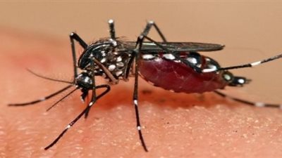 أعراض حمى غرب النيل