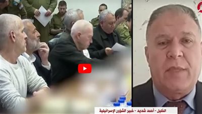 خبير: تصريحات هاريس عن وقف تزويد إسرائيل بالسلاح تطور خطير (فيديو)