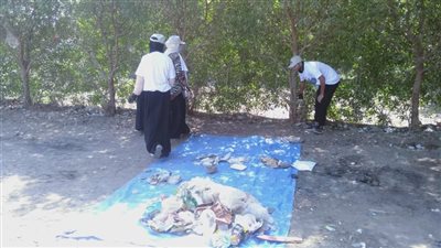 حملة مكبرة للنظافة ورفع الملوثات الصلبة من بحر يوسف بالفيوم