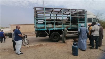 جولة لرئيس مدينة مرسى علم على المخابز وسيارة توزيع أسطوانات البوتاجاز