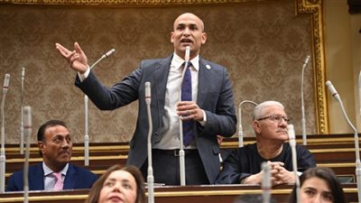 برلماني: حرص الرئيس على الإفراج عن المحبوسين يرسي حالة من التصالح المجتمعي