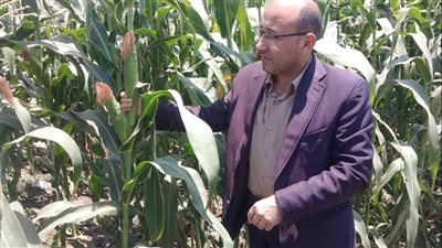 خلال ندوة إرشادية..زراعة سوهاج تطالب المزارعين بزيادة الإنتاجية لخفض الأسعار 