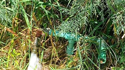 حملات تفتيشية لضبط توصيلات  المياه المخالفة في الفيوم 