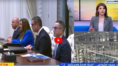 أستاذ إدارة واستثمار: الرئيس السيسي يسعى لتصبح مصر مركزًا صناعيًا كبيرًا (فيديو)
