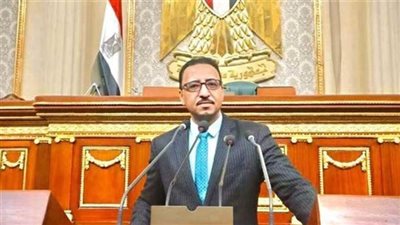 برلماني: توجيهات السيسي بالعفو الرئاسي عن محبوسين انتصار عملي لملف حقوق الإنسان 