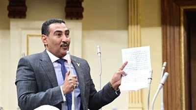 طلب إحاطة بشأن فشل البعثة المصرية في أولمبياد باريس