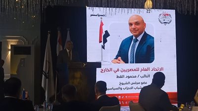 النائب محمود القط يؤكد اهتمام القيادة السياسية بالمصريين في الخارج ومطالبهم.. فيديو