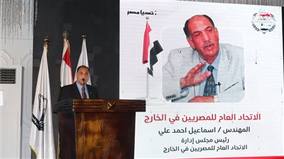 اسماعيل علي: جموع المصريين في الخارج يقفون خلف قيادتهم السياسية (فيديو) 