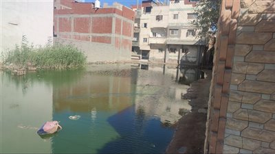 مساكن البيضا بكفر الدوار غارقة في مياه الصرف الصحي 