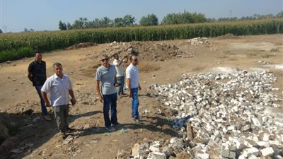  إزالة 63 تعدٍ على الأراضي الزراعية بالقليوبية 