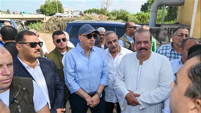 وزير الري يتفقد حالة المياه بترعة بحر سيف ومحطة دميا بكفر الزيات