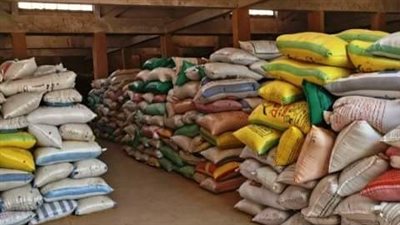 المواقع التخزينية بالشرقية تواصل استقبال القمح المحلي 