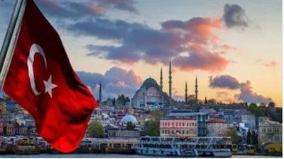 حزب في تركيا يطالب المحكمة الدستورية بإلغاء قانون يستهدف الكلاب الضالة