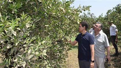 رئيس جامعة بنها يتفقد الموسم الصيفى للمزارع والوحدات الإنتاجية بكلية الزراعة