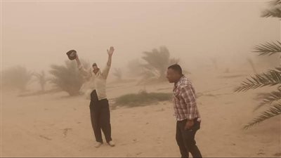 عواصف ترابية تضرب شرق العوينات.. ورفع درجة الاستعداد القصوى| صور 
