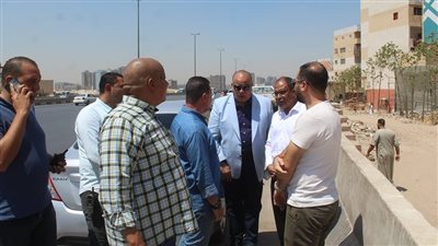 نائب محافظ القاهرة يتابع أعمال تطوير ورفع كفاءة الهوية البصرية بالدائري