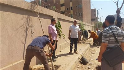 محافظ أسيوط: استمرار زراعة الأشجار بشوارع قرية بني مر بالفتح