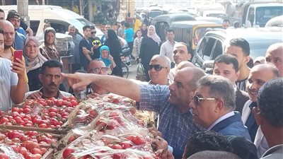 الدقهلية تتابع العمل بالمخابز والمراكز التكنولوجية 