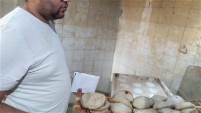  تحرير 28 محضر للمخابز البلدية لمخالفة المواصفات بقرى طنطا  