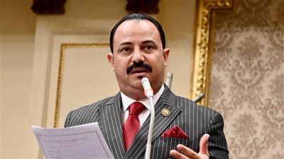 برلماني: منع غلق أي مصنع إلّا بقرار من وزير الصناعة قرار غير مسبوق ويشجع المستثمرين 