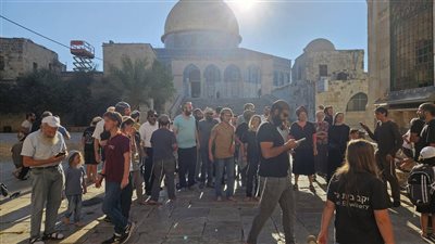 مستعمرون يقتحمون المسجد الأقصى ويؤدون طقوسا تلمودية بحماية شرطة الاحتلال 