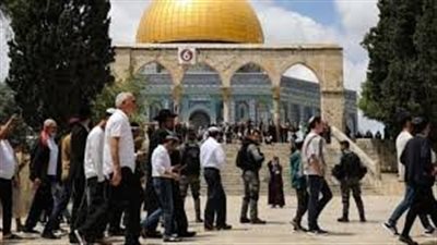 الأوقاف الإسلامية: 1000 مستوطن ومتطرف اقتحموا باحات المسجد الأقصى صباح اليوم