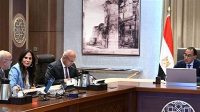 رئيس الوزراء يلتقي مسئولي 