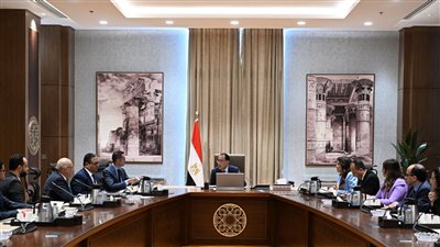 مدبولي يلتقي رئيس شركة 