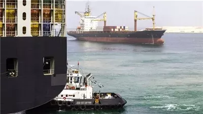 القومى لعلوم البحار يشارك الجامعة الاهلية تصميم واختبار روبوت لرصد الأحياء المائية