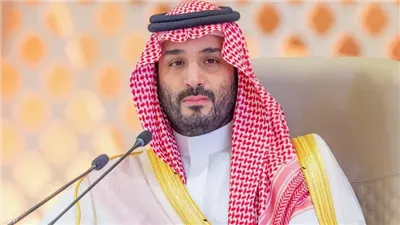 ولي العهد السعودي يتلقى رسالة من رئيس غينيا