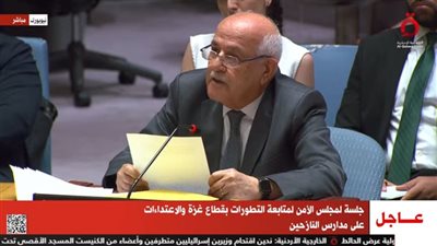 مندوب فلسطين بالأمم المتحدة: نعد مشروعا بشأن عدم قانونية الاحتلال