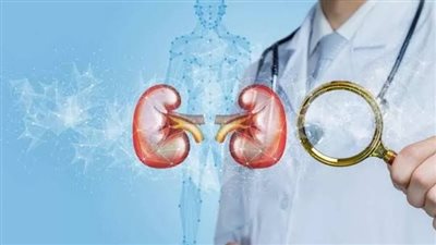 5 عادات صحية للحفاظ على صحة الكلى 