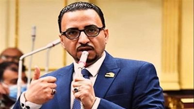 النائب محمد عزت القاضي: اقتحام متطرفين إسرائيليين للمسجد الأقصى حلقة جديدة من الاستفزاز 