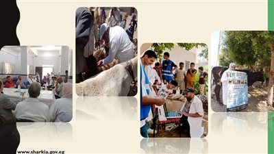 بيطرى الشرقية يُنظم قافلة طبية بيطرية مجانية بقرية الشولية 