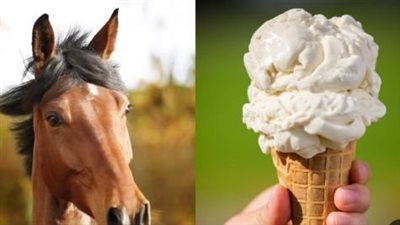 فوائد تناول الأيس كريم من حليب الخيل
