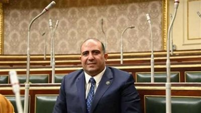 برلماني يحيي وحدة وتماسك المؤسسات الدينية لخدمة قضايا الدعوة الإسلامية