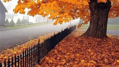 موعد فصل الخريف جغرافيًا وأهم سماته