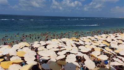 رفع الرايات التحذيرية على شواطئ الإسكندرية 