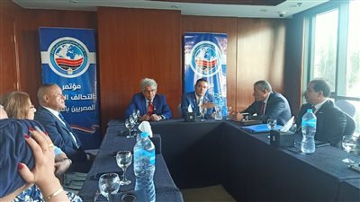 التحالف الدولي للمصريين بالخارج يعقد أولى اجتماعاته بعد تدشينه بالقاهرة.. صور